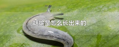 ​它们是怎么长出来的 它们是怎么长出来的?