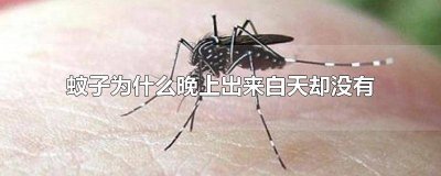 ​为什么白天看不见蚊子,一到晚上就出来? 为什么蚊子只在晚上出来
