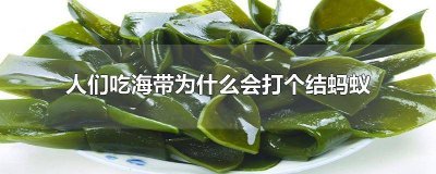 ​吃海带为什么要打结蚂蚁庄园 吃海带为什么要打结蚂蚁窝