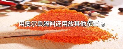 ​用奥尔良腌料还用放其他东西吗 用奥尔良腌料还用放其他东西吗为什么