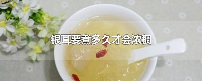​白银耳要煮多久 白银耳煮多久可食用