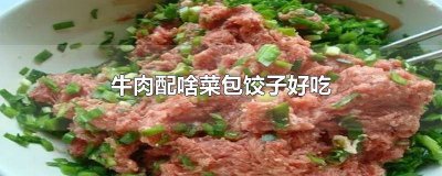 ​牛肉搭配什么菜包饺子好吃 牛肉包饺子配什么菜好吃?