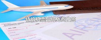 ​特价机票可以免费改签吗 特价机票怎样改签