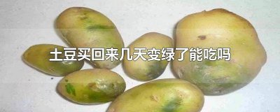​土豆刚买回来不久变绿能吃吗有毒吗 土豆刚买回来不久变绿能吃吗为什么