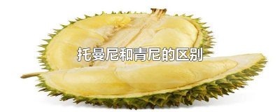 ​托曼尼和青尼的区别 托曼尼和青尼的区别图片