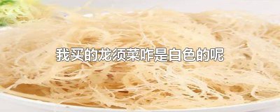 ​为什么龙须菜是白色的 为什么有的龙须菜是绿色的有的是白色的