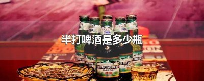 ​半打啤酒是多少瓶酒 一打半啤酒是多少