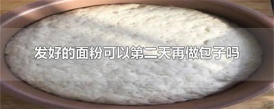 ​包子发面发好了隔几个小时可以吗 发好的面第二天做包子可以吗