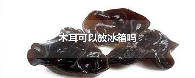 ​煮了的木耳能放冰箱吗能放多久 煮了的木耳能放冰箱吗几天