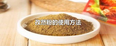 ​孜然调味料的用法大全 孜然调味料的用法与用量