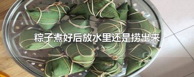 ​粽子煮熟了要从水里捞出来吗 煮好的粽子在水里泡着还是捞出来