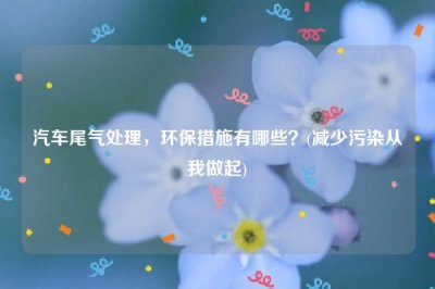 ​汽车尾气处理，环保措施有哪些？(减少污染从我做起)