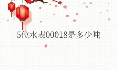 ​5位水表00018是多少吨水（智能水表看吨数教程）