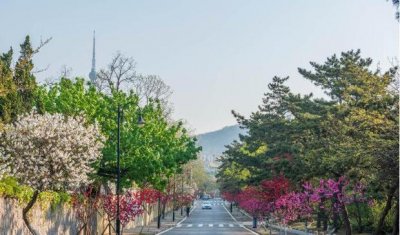 ​青岛旅游住宿攻略