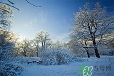 下雪天适合吃什么？下雪天吃什么食物好？