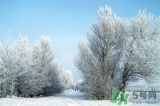 下雪天适合吃什么？下雪天吃什么食物好？