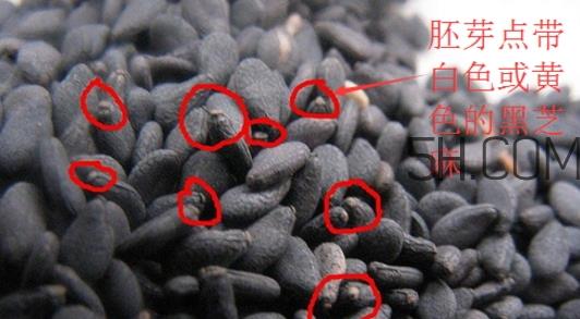 黑芝麻清洗掉色正常吗？黑芝麻有黑色素吗？