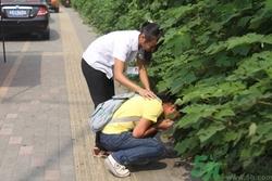 橘子能解晕车吗?晕车吃橘子有用吗