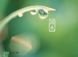 雨水吃什么？雨水节气饮食禁忌？