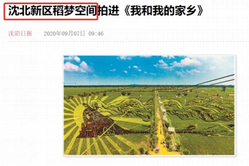 网络配图