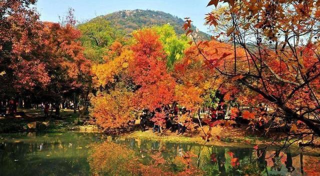 生活姑苏城外寒山寺：十二首著名诗词，讲述苏州的千古悠悠情  5
