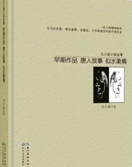 影视王小波最好看的书，王小波十大经典作品推荐  5
