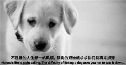 提高逆商