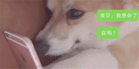 提升自身价值