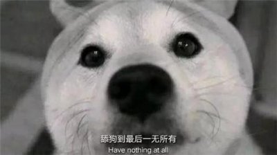 ​不想当舔狗怎么追女生呢？做好这3点不再做舔狗
