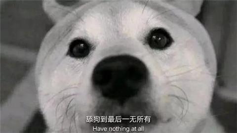 保持心态平衡