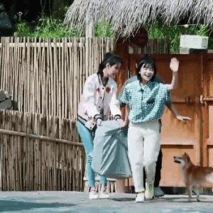 ​为什么网友质疑沈月身高没有160？
