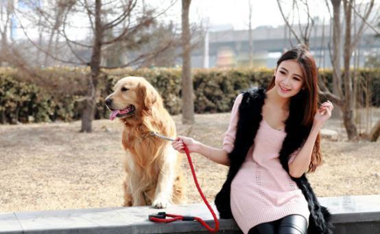 为什么都说好女不养狗，多点安全感不好吗？答案在这里