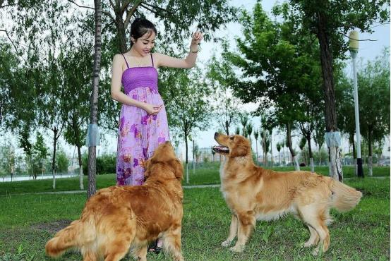 为什么都说好女不养狗，多点安全感不好吗？答案在这里