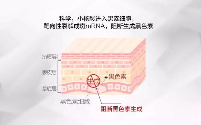 28天“色斑”全没了！她们都在这样做，网友惊呼：太神奇了！