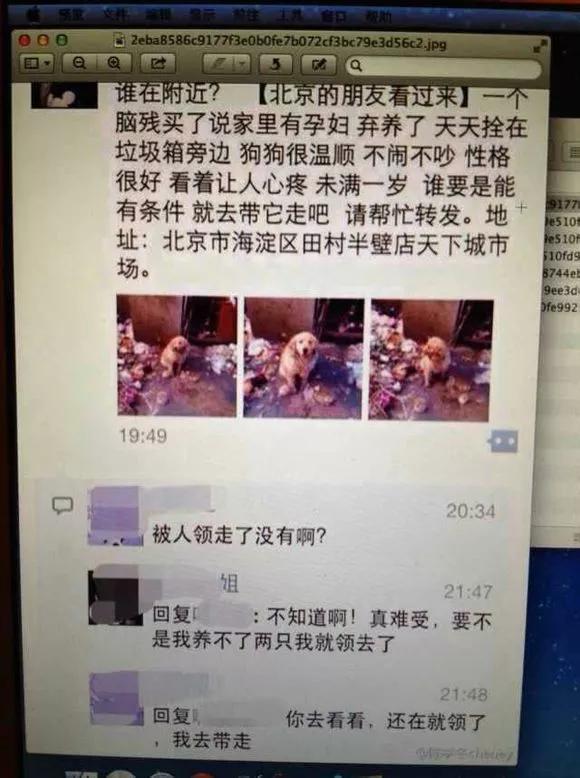 怒怼粉丝“滚”，各种戏精 陈学冬是想放飞自我还是智商堪忧