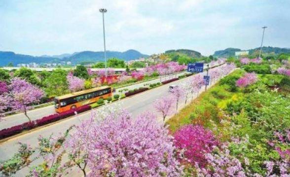 最长寿的省份，有26个长寿之乡全国第一，人均寿命高达77