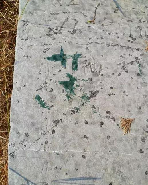 在淄博淄川有个大圣庙