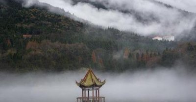 ​她太漂亮，使民国高官一见倾心，抛弃首富女儿，执意娶她终成贵妇