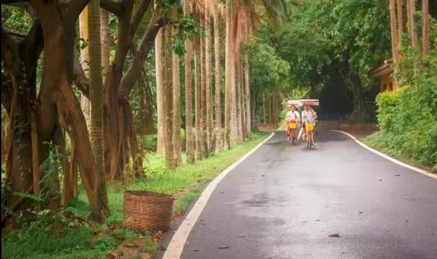 广东最美滨海公路, 比美国一号公路更惊艳奇绝