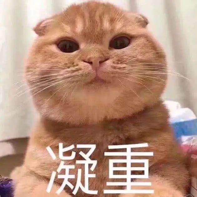 值得买 | 虽然我刀工很差，可我有钱！