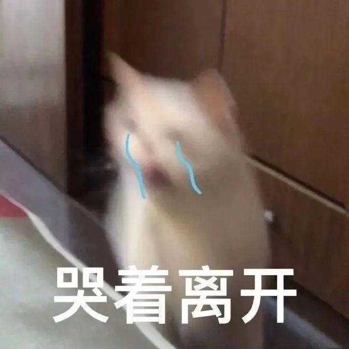 “隐形富婆”林小宅？扒完她我真的酸了！！！