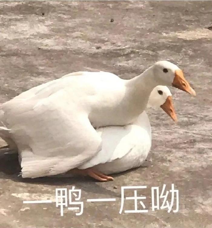 “隐形富婆”林小宅？扒完她我真的酸了！！！