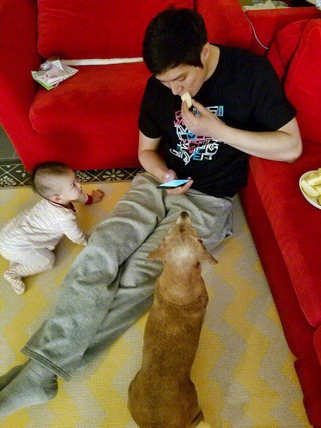 张梓琳聂磊爱巢曝光，天天微博晒狗粮，幸福指数爆棚！