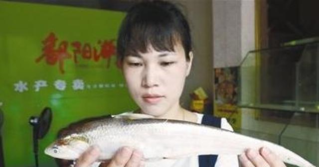 网评：普通人吃不起的“顶级食材”，看过后，发现鱼都吃不起？