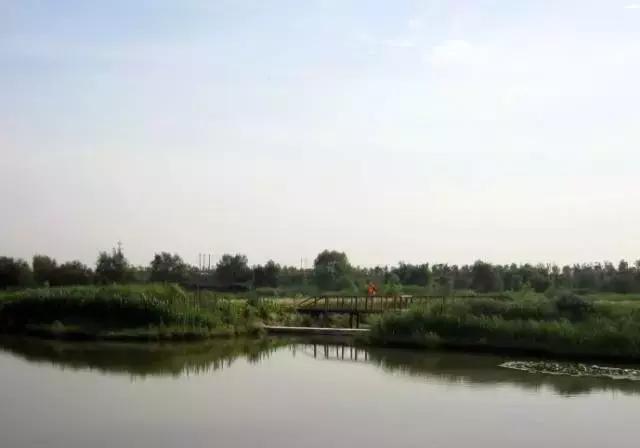 灞桥生态湿地公园游玩全攻略 比兴庆宫公园大10倍，人少清幽
