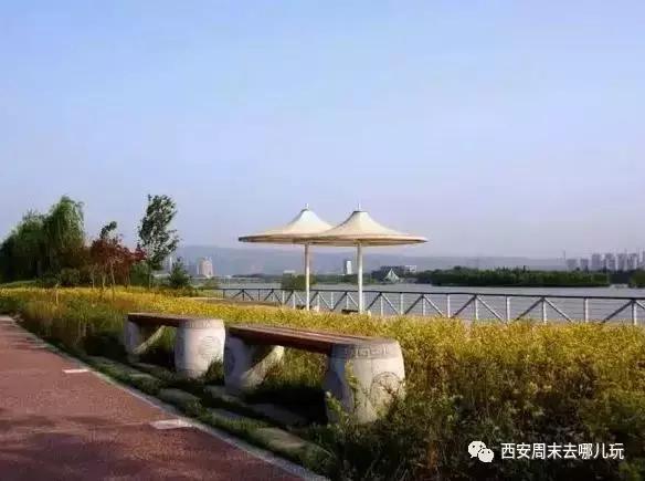 灞桥生态湿地公园游玩全攻略 比兴庆宫公园大10倍，人少清幽