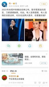 ​刀郎央视除名，那英高兴：“不用砸电视了！”