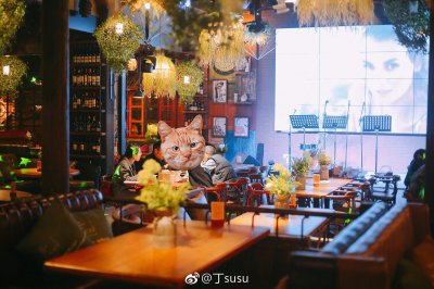 ​胡桃里音乐酒馆