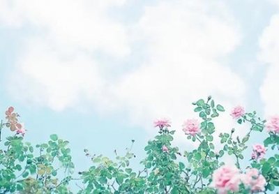 ​伸缩缝的房子能买吗？房屋伸缩缝问题请教