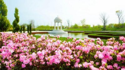 ​马可波罗花世界